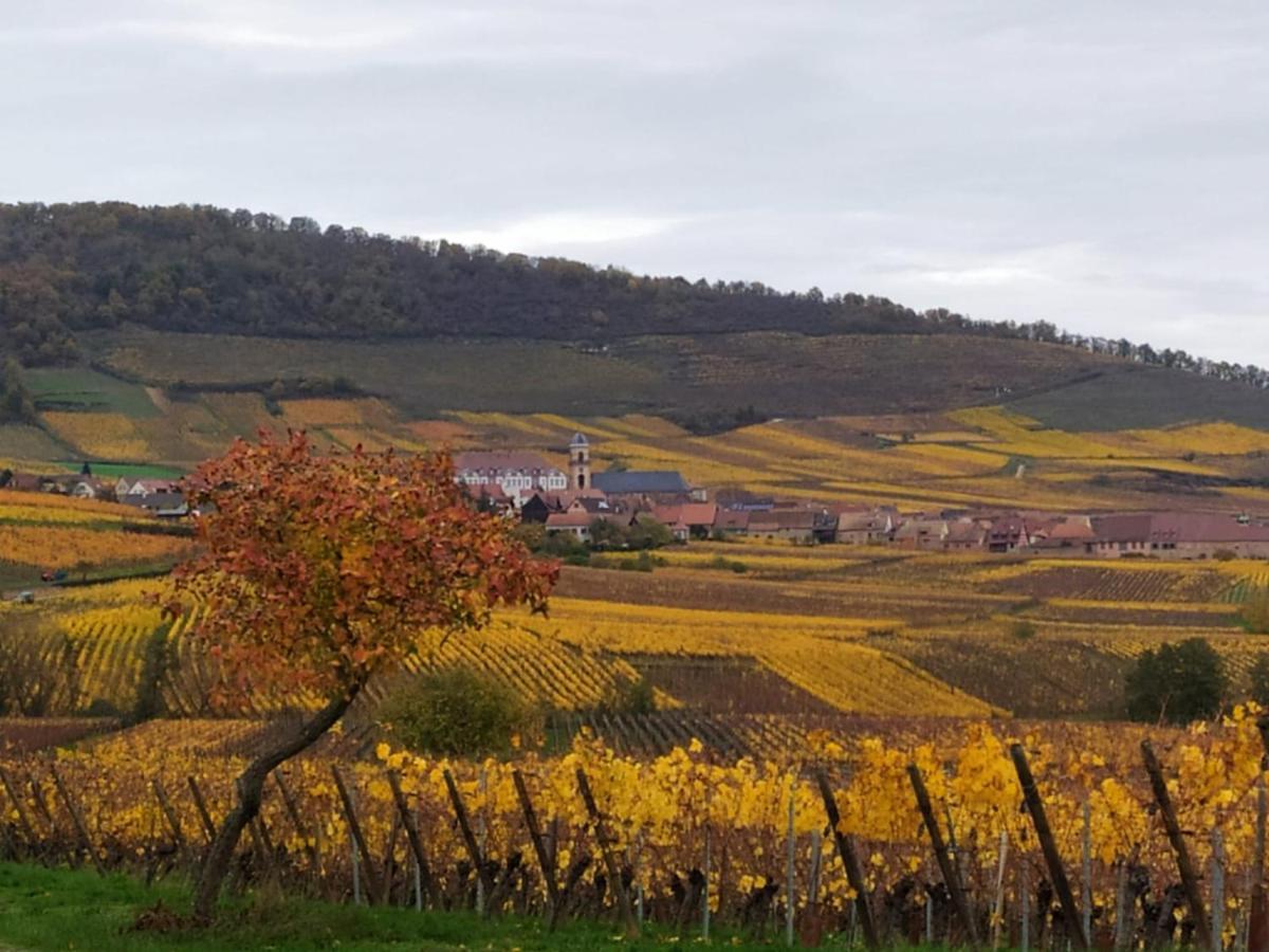 Le Bubele Au Coeur Du Centre Medieval Et Vignoble Ribeauvillé Exteriör bild